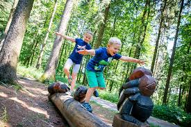 15.47 mb, was hi, there you can download apk file forest adventure for android free, apk file version is 1.0.1 to. Forest Adventure Trail