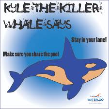 Help be safer at the beach or pool, in the ocean or a river by enrolling in swim classes, and learning about water competency. Water Safety Coloring Pages Waterloo Swimming