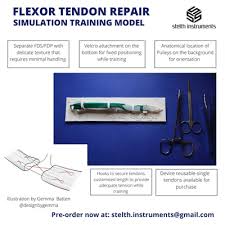 In the setting of an intact flexor digitorum superficialis (fds), there are few indications for isolated flexor digitorum profundus (fdp) reconstruction. Bundle Plus Flexor Tendon Repair Simulation Device 1 Fds 5 Fdp Silicone Tendons Oscar