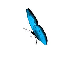 Url gambar animasi pernak pernik blog download gratis kupu kupu cinta hidupgratis kupu. 7 Powerpoint Ideas Butterfly Clip Art Powerpoint Powerpoint Background Design