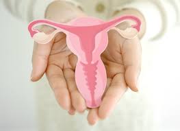 Image result for Female Infertility