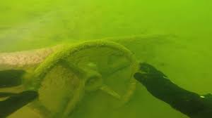 On the forsyth county side of the lake, the town of oscarville was covered by the lake. Lake Lanier Wreck Dive Youtube