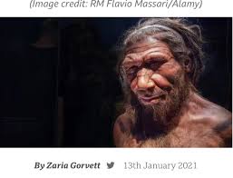 You've Been Lied To About Genetics. Stop telling and teaching people that  the genome is a blueprint. The genome is NOT a blueprint!