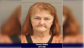 Wanted Thief Apprehended in Texas During Traffic Stop, Faces Felony