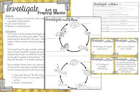 Life Cycles Of Plants And Animals Science Stations For Third Grade