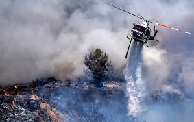 Saturday off the intersection of tejana and cleveland forrest roads, in an area north of de luz in northern san diego county, and spread northeast. L2d9pgyqfel5bm