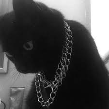 Jewelry Aesthetic Tumblr Aesthetic Daintyjewelry Handmadejewelry Jew Jewelry Aesth In 2020 Black Cat Aesthetic Grunge Aesthetic Black Aesthetic