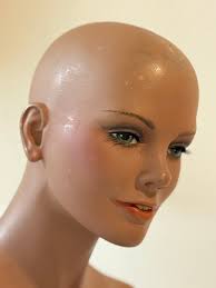 Any information about the 12 philodendron?