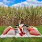 Luxe Picnics at the Pumpkin Patch event image