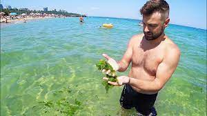 Отрада, лузановка, ланжерон, аркадия, ибица, bono beach, caleton, bright on beach odessa, золотой берег, черноморка. Odessa Chto V More Kucha Lyudej Plyazhi I Ceny Dlya Otdyhayushih Vlog Youtube