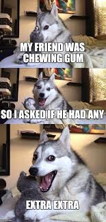 Bad Pun Dog Meme Imgflip
