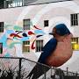 Profile Picture of Artist behind SF's iconic 'Bird Song' mural dies at 47 - SFGATE (@sfgate.com) on Google