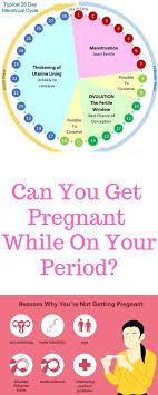 Can You Get Pregnant During The Period Getting Pregnant At Home Workout Plan Best At Home Workout