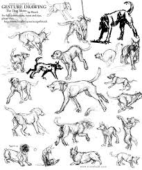 Gesture Drawing Dog Sheet Risovanie Zhestami Risovat Zhivotnyh Risunki Zhivotnyh