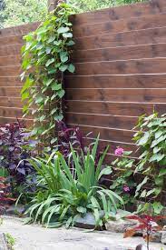 Ein natürlicher sichtschutz kann im garten nicht nur für eine erholsame privatsphäre sorgen, sondern auch selbst wichtige gestaltungsakzente setzen. Sichtschutz Fur Den Kleinen Garten Die Schonsten Ideen
