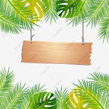 Beautiful Summer Tropical Leaf Leave Frame And Border Tropical Frame Leave Png And Vector With Transparent Background For Free Download Animasi
