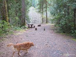Also available is our cabin that is just a few steps from fish river falls. Whispering Falls Campground Detroit Ranger District Santiam Oregon