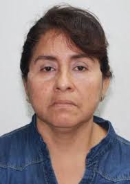 Ingresos de Otorongos Elecciones 2022