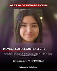 🚨Se solicita ayuda para localizar a Pamela Sofía Montealegre, fue vista  por última vez en Ciudad Juárez, Chihuahua.🚨 👉Nota:  https://bit.ly/3YebrIu #Alerta #CiudadJuárez #ElPaso