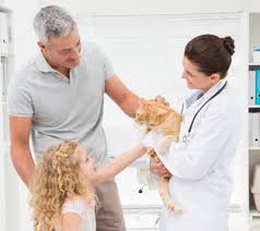 See more ideas about pet emergency preparedness, pet emergency, pets. Northside Veterinary Clinic Veterinarian In Brooklyn Ny