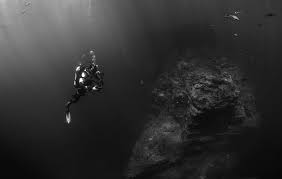 C'est la profondeur à laquelle jacques piccard et don walsh ont plongé en 1960. L Ocean Une Profondeur Inattendue Mer Ocean