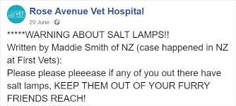 Himalayan salt lamp with natural crystal salt rock (iron basket) 5.600kg. Owner Of Cat That Nearly Died Explains Why It S Terribly Dangerous To Own A Salt Lamp If You Have Pets Bored Panda