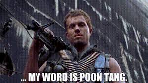 images?q=tbn:ANd9GcTzqkNGDd5JGgq9nFVZVD2