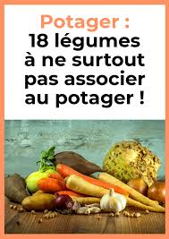 Epingle Sur Jardin