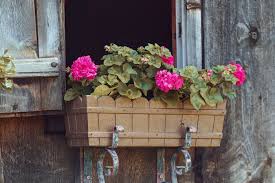 Flower or window box liners are plastic trays or sheets of coconut fiber material used to line the bottom of flower or window boxes and planters before potting plants with soil inside. The 6 Best Hanging Flower Boxes For 2020