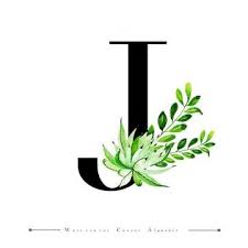 Black And White Letters Png Alphabet Letter J With Watercolor Cactus And Leaves Background Watercolor Color Floral Png And Vector With Transparent Background For Free Download