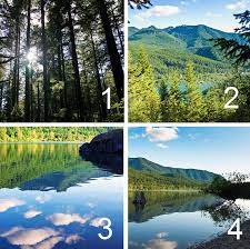 حل لي شخصيتك من نظرتك للطبيعة yasmina