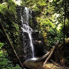 These 10 Epic Hiking Spots Around San Francisco Are Completely Out Of This World Hiking Spots Bay Area Hikes California Travel Road Trips
