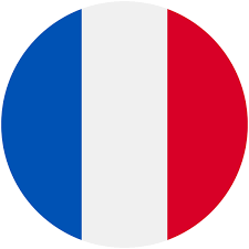 Free icons of the flag of france in high quality. Download Hd Disclaimer France Icon Transparent Png Image Nicepng Com