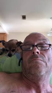 There's never a visit fee, and you'll earn pals. Perfect Pet Rescue Mobile Adoptions 1501 Montana Ave Santa Monica Ca Animal Shelters Mapquest
