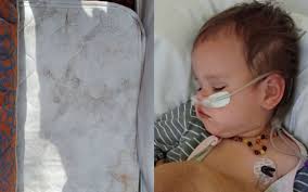 Landlord Jack Biddle sent adult children to evict couple from Waikato  rental property