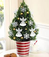 3.8 out of 5 stars. Christmas Tree In Pot The Festive Decor And Beautiful Addition To The Garden Interior Design Ideas Ofdesign