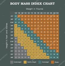Body Mass Index Chart Height An Weight Infographic Stock