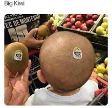 Funny Kiwi Fruit Meme Funny Text Memes Crazy Funny Memes Funny Memes