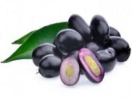 There are many trees that will grow well in tennessee because of the favorable growing zones. Jamaican Ribena Java Plum Jamun Fruit Tree Seedl Farmlinkr