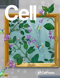 Maybe you would like to learn more about one of these? Cell Press Home