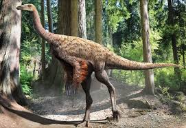 First North American Fossil Of Feathered Dinosaur Found In Alberta Ctv News