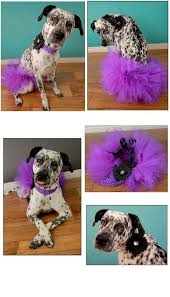 Jul 06, 2021 · アパレルリテールフランチャイズというfc事業の新しい形。開業~育成~運営まで徹底したサポートで、不安の無い安定した. 120 Dog Rooms Ideas Dog Rooms Animal Room Diy Dog Stuff