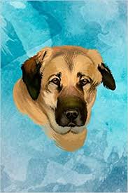 Turkish kangal or anatolian shepherd! Kangal Anatolian Shepherd Dog Journal Kangal Anatolian Shepherd Dog Notebook Birthday And Christmas Gift Karabash Sivas Dog Diary Composition Book By Pawsome Graphics 6 X 9 120 Pages Graphics Pawsome Amazon De