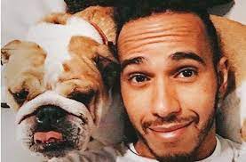 Lewis hamilton fan page on instagram: Sportsfreund Des Tages Lewis Hamilton Und Sein Veganer Hund Sportmeldungen Stuttgarter Zeitung