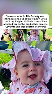 Ellie Doherty Dog Attack