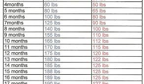 English Mastiff Weight Chart Tibetan Mastiff Height Chart