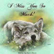 I Miss You So Much Loup