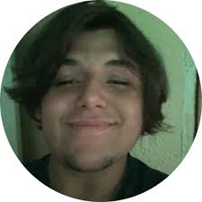 Dico Lawn Maint Lawn Care Services in Tampa, FL