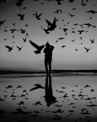 Life Is What Happens When You Re Busy Making Other Plans John Lennon Pin On Black White