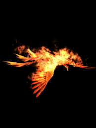 Download background power point animasi gif bergerak info. Download 97 Background Gif Keren Terbaik Download Background